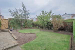 Photo 10- click for photo gallery